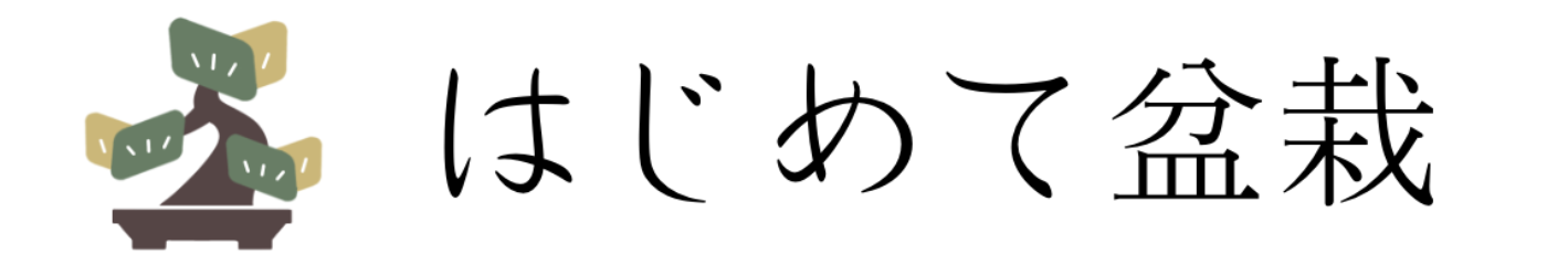 はじめて盆栽